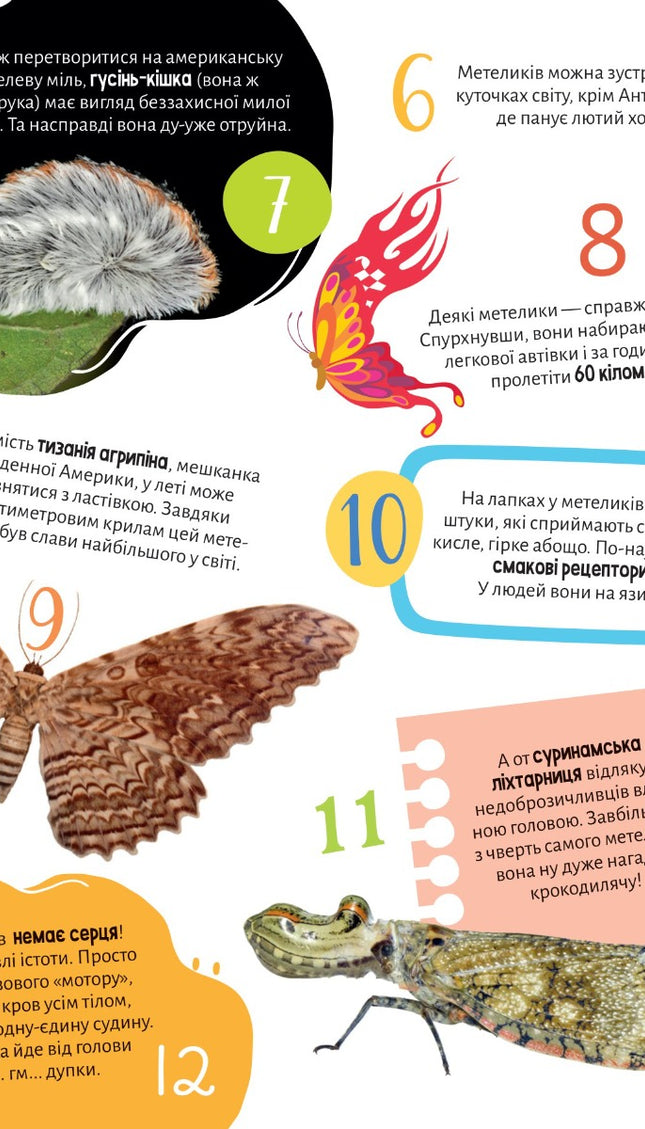 Комахи. 100 цікавих фактів. З наліпками.