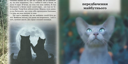 Коти-вояки. Таємниці кланів. Путівник по серії