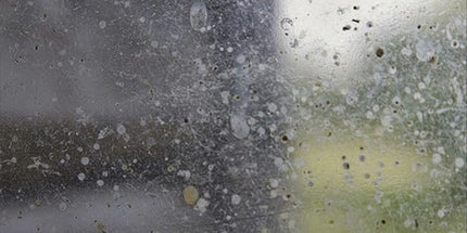 Modern Classics: Chernobyl Prayer: A Chronicle of the Future cover image