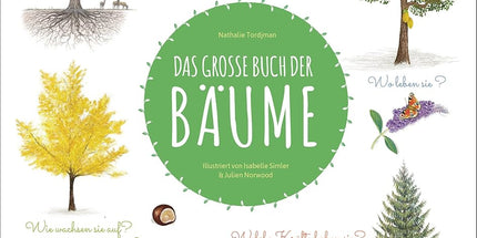 Das große Buch der Bäume: Wunderschön farbig illustriertes Kindersachbuch ab 7 Jahren cover image