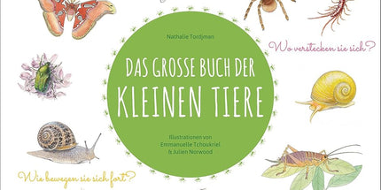 Das große Buch der kleinen Tiere: Wunderschön illustriertes Kindersachbuch ab 7 Jahren. Was fressen sie so? Wie bewegen sie sich fort? Wo verstecken sie sich? Was machen sie am liebsten? cover image