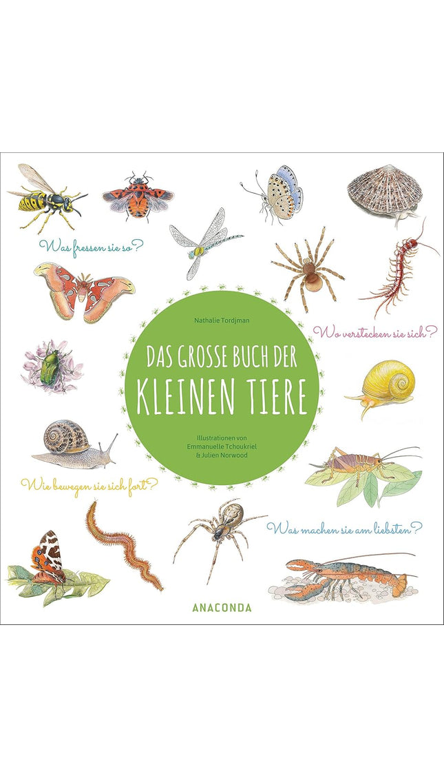 Das große Buch der kleinen Tiere: Wunderschön illustriertes Kindersachbuch ab 7 Jahren. Was fressen sie so? Wie bewegen sie sich fort? Wo verstecken sie sich? Was machen sie am liebsten? cover image