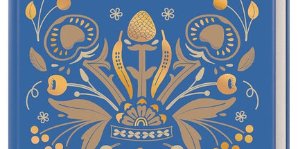 Mamusia: Familienrezepte aus der Ukraine. Der Verkaufserlös geht komplett an die Ukraine-Hilfe Berlin e.V. cover image