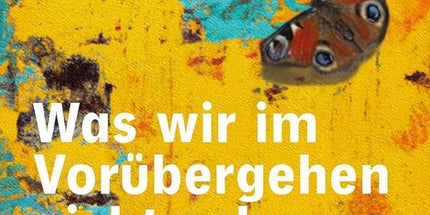 Was wir im Vorübergehen nicht sehen: Dreizehn Geschichten aus einem nahen Land cover image