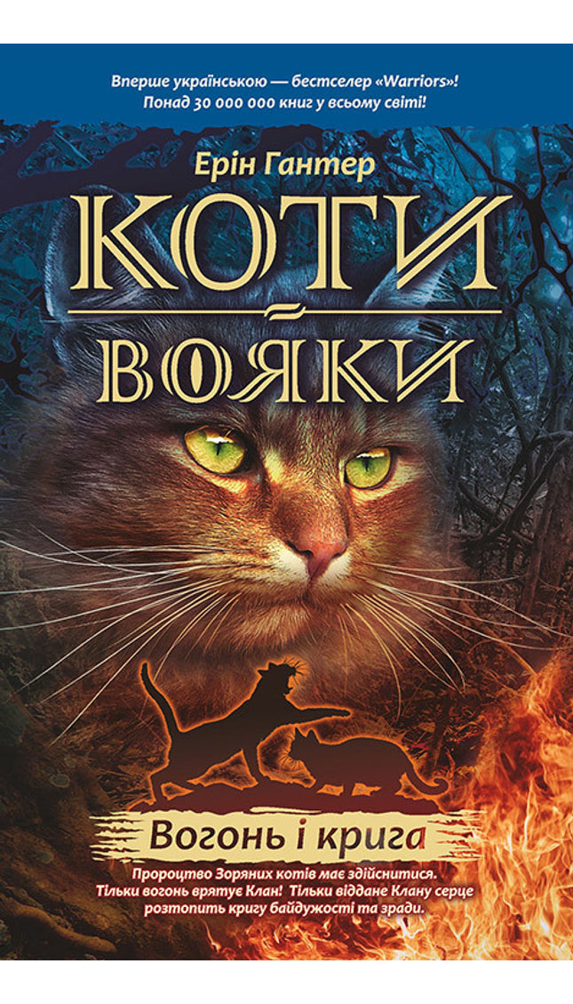Вогонь і крига cover image