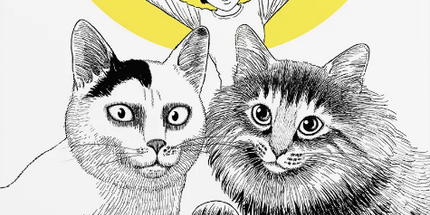 Котячий щоденник Джюнджі Іто : Йон та Му cover image