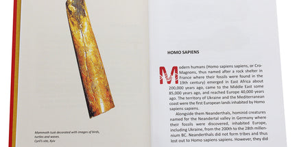 A history of ukraine. A short course