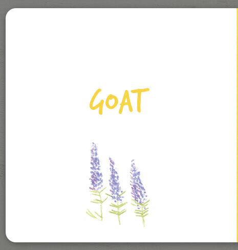 Collect the rainbow. Farm animals