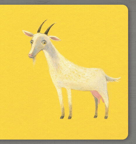 Collect the rainbow. Farm animals