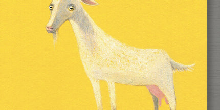 Collect the rainbow. Farm animals