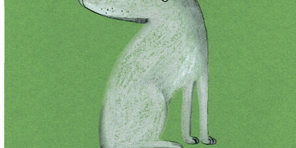 Collect the rainbow. Forest animals