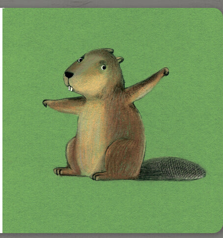 Collect the rainbow. Forest animals