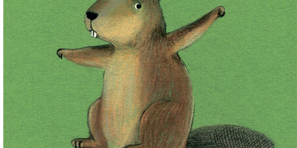 Collect the rainbow. Forest animals