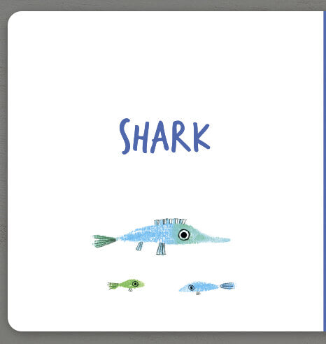 Collect the rainbow. Sea animals