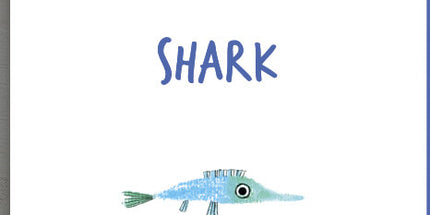 Collect the rainbow. Sea animals