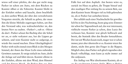 Die Sprache meines Bruders