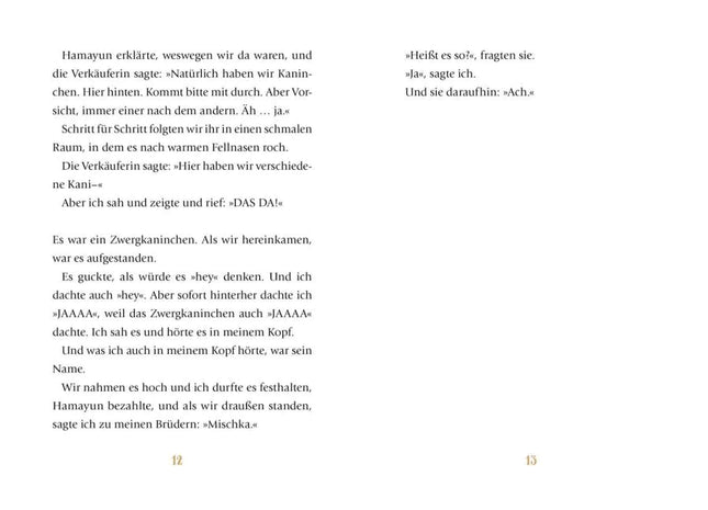 Mischka: Ein emotionales Kinderbuch zum Thema Flucht