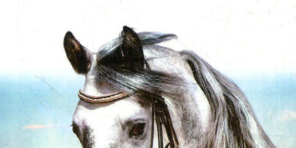 Дороги, що ми обираємо / The roads we take