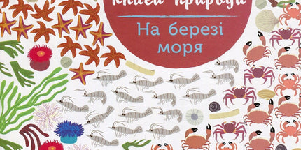 Моя книга природи.На березі моря.  З наліпками